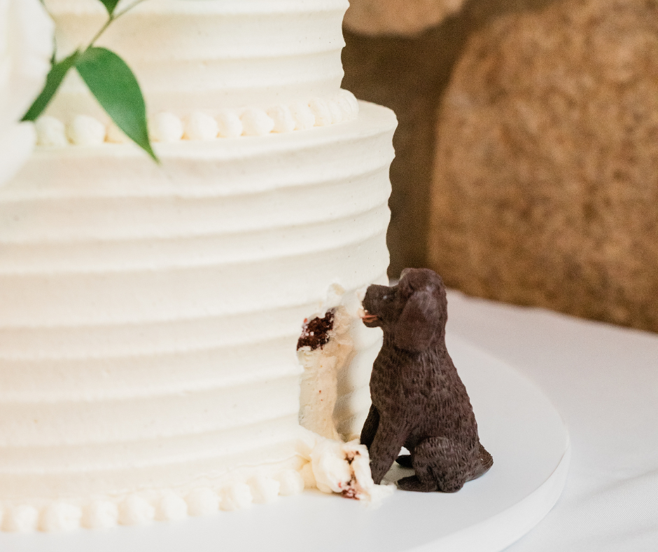 167 Dog sculpture on your wedding cake- BVTLive!