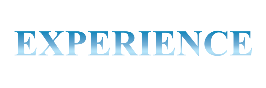 Experience Logo