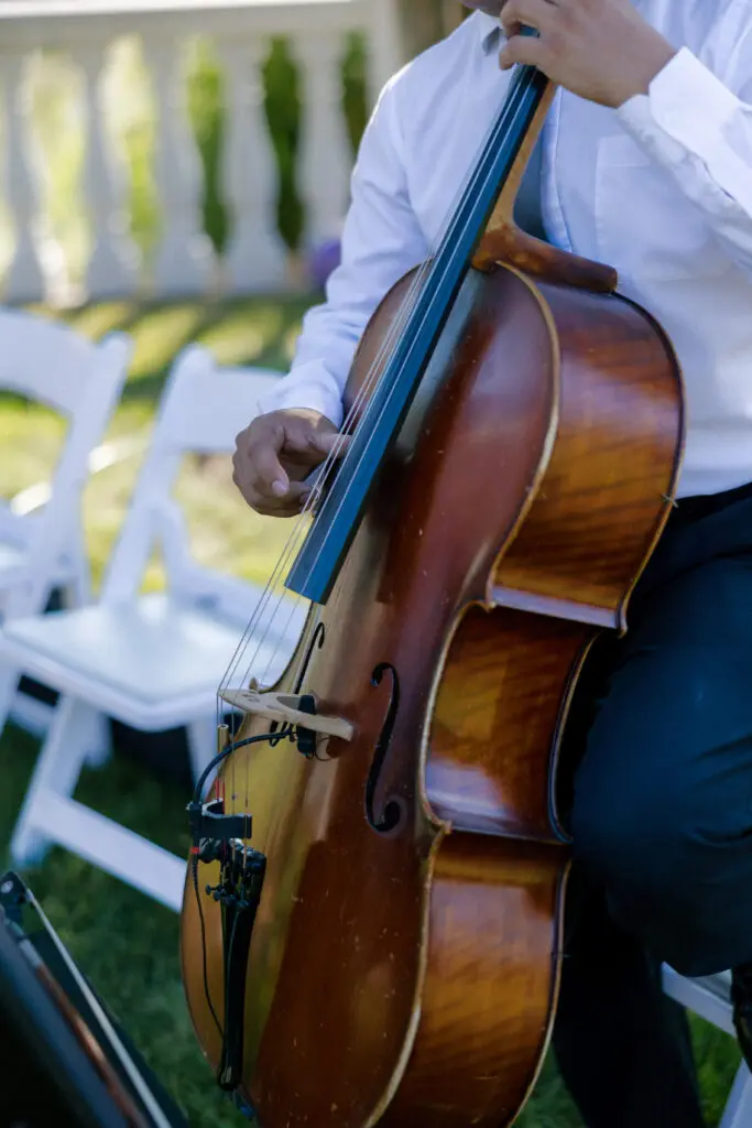Live Instrument at Wedding Ceremony by Andrew Holtz Photography Live Instrument at Wedding Ceremony by Andrew Holtz Photography