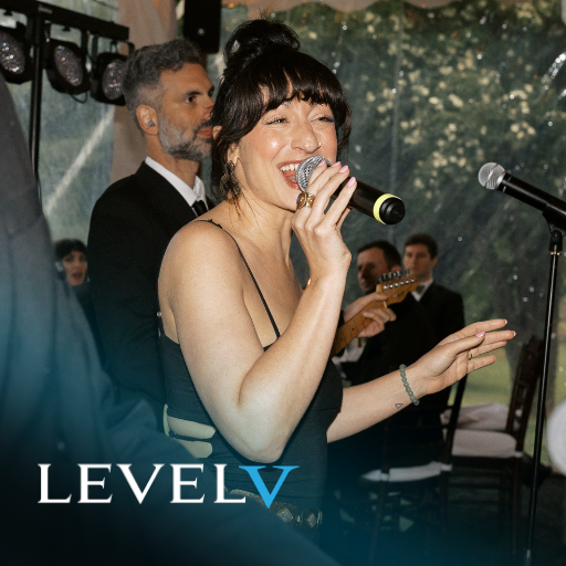 Level V Wedding Band