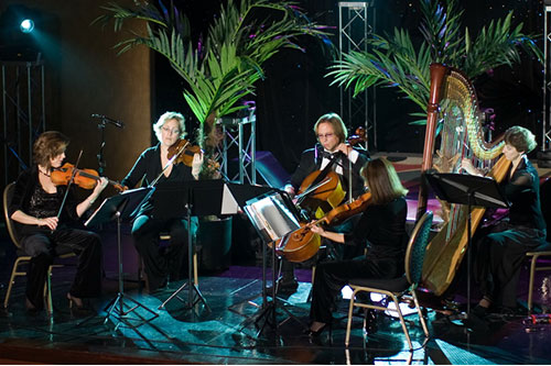Live elegant pop, jazz and classical music for your special occasion!  
Stringsations is a sought after string group that is available in configurations from a single harpist or violinist to a string quintet. From Bach to Rock, Jazz to Rags, Stringsations will set the tone of elegance at your event!
 