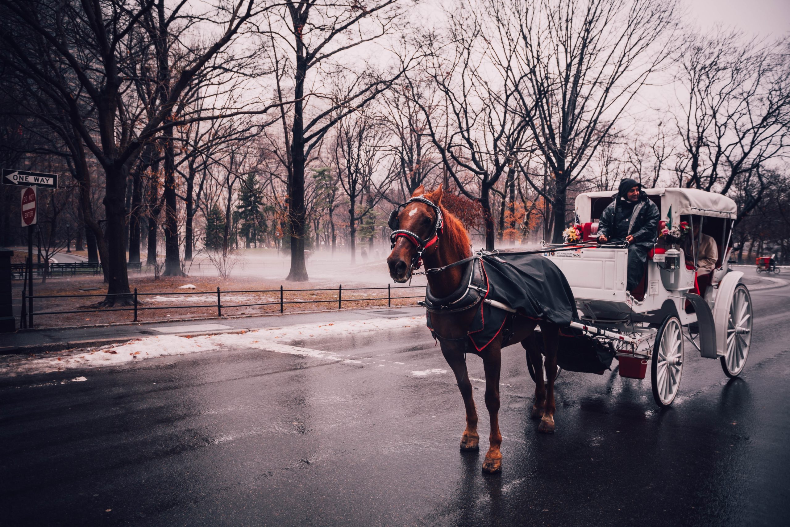 Horse drawn sleigh for wedding getaway